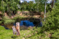 IMGP4263