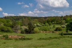 IMGP4268