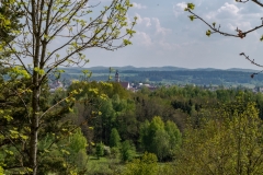 IMGP4280